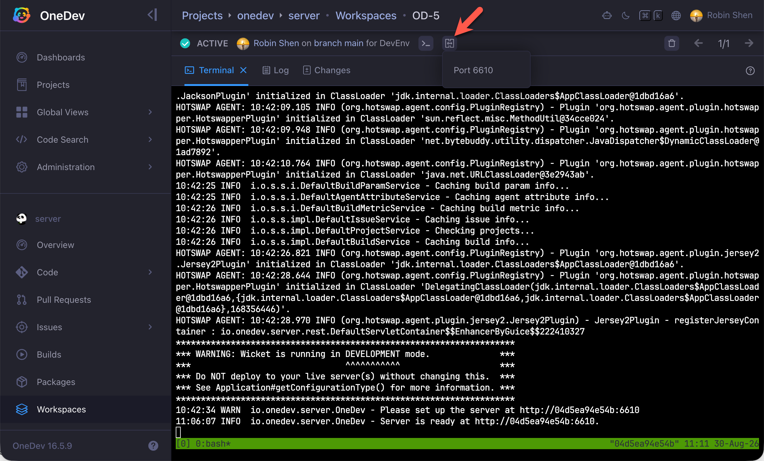 Opening OneDev on port 6610 from the workspace toolbar